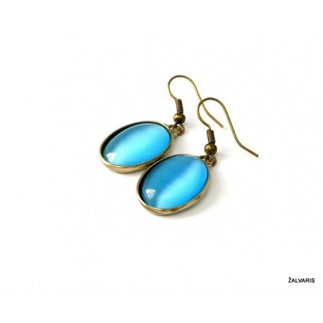 Žalvariniai Auskarai su Katės akimi