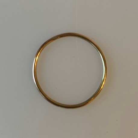 Золотое кольцо "Один день"